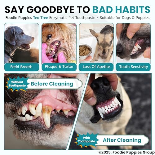 Image of Foodie Puppies Dental Care Tea Tree Toothpaste for Dogs - 100g with Soothing Mix of Tea Tree and Cinnamon Oil | Tartar Control Enzymatic Toothpaste Suitable for All Dogs and Puppies