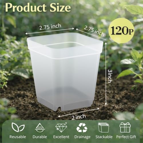 RooTrimmer 120 Packs Square Clear Nursery Pots with Drainage, 2.7 Inch Plastic Seedling Pots for Indoor Plants, Thickened Small Transplant Pot for Seed Starting Succulents Vegetables Lettuce Flowers - Image 3