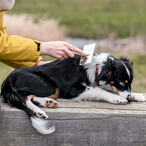 Nobby Nature Line Rupfbürste groß; 11,5 x 5,5 cm, Holzgriff