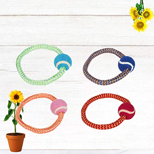 Brinquedo para cães - brinquedo para cães - 4 peças de corda de algodão com bola para brincar brinqu