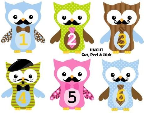 Monthly Baby Boy Stickers Owl Dudes UNCUT Boy Owls