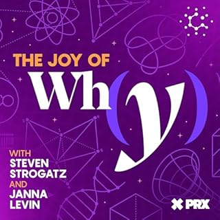 The Joy of Why Titelbild