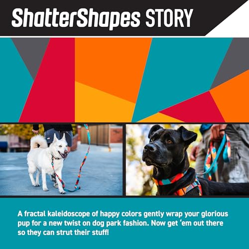 Collier martingale Wolfgang ShatterShapes pour balade grand chien - 3