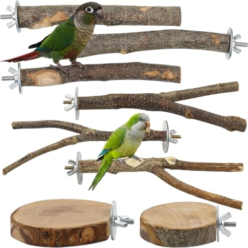 8-Piece Set Natural Wood Bird...