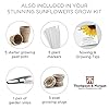 Stunning Sunflower Seed Growing Kit - Grow Your Own 5 Varieties of Contrasting Flowers in one Seed Grow Kit, A Perfect Gardeners Gift, Grow Your Own Flower Kit by Thompson & Morgan #1