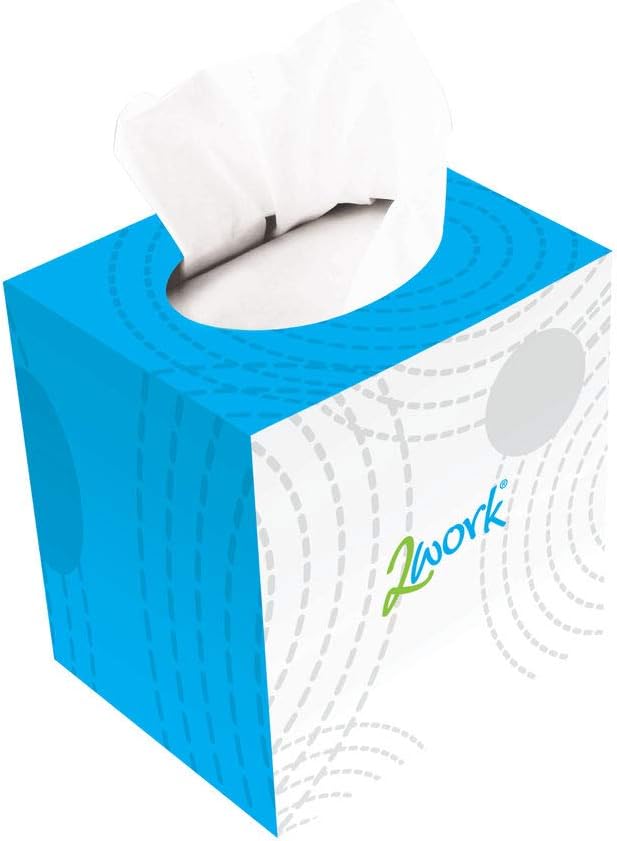 Facial Tissue Cube Box 70 Sheets 2-Ply (Pack of 24) CPD13550