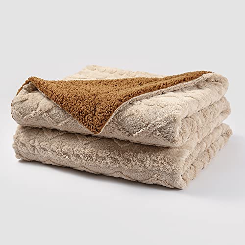Pagnanno. - Sherpa Teddy Fleece Blanket - Fluffy Double Layered Bed and Sofa Throw - Thick, Warm & Extra Soft - For Families, landlords and Couples (Biscuit, King (200x240cm)) Pagnanno. - Sherpa Teddy Fleece Blanket - Fluffy Double Layered Bed and Sofa Throw - Thick, Warm & Extra Soft - For Families, landlords and Couples (Biscuit, King (200x240cm))