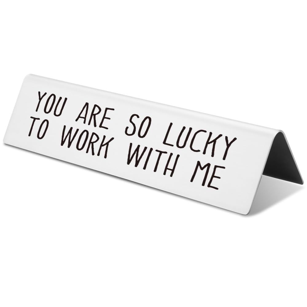 Funny Desk Sign For Office - Minimalist Stainless Steel Tabletop Decor With Humorous Quote