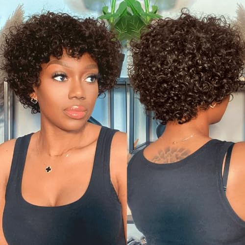 DÉBUT Short Curly Wig 100% Human Hair Wigs For Women Dark Brown Afro Curly Wig with Bangs Pixie Cut Wig Brazilian Remy Hair (8 inches, 4) DÉBUT Short Curly Wig 100% Human Hair Wigs For Women Dark Brown Afro Curly Wig with Bangs Pixie Cut Wig Brazilian Remy Hair (8 inches, 4)