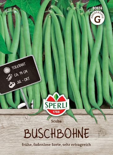 Sperli Buschbohnensamen Scuba 80174 - Ertragreiche Bohnensamen, Buschbohnensamen ohne Fäden, Grüne Bohnen, Gemüsesamen für den Gartenanbau, Eintöpfe und Salate