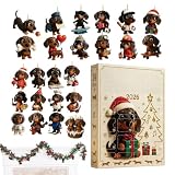 Countdown Calendar 24 Day Flat 26x18x3Acrylic Collectible Dachshund Pendant
