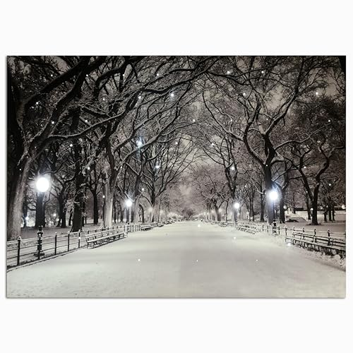 Large Winter Scene Canvas Pictures Lighted for Wall Decor, Xmas LED Canvas Wall Art w/ Timer, Light Up Snowy Path Hanging Artwork, Peaceful Night Landscape Paintings Prints Lit Up w/ Twinkling Lights