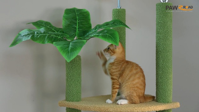 Amazon | PAWZ Road キャットタワー 突っ張り スリム 多頭飼い