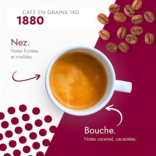 Café en grains riche en arôme pour éviter l'amertume - 2