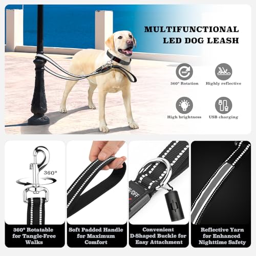 1,2 m LED Hundeleine, Leuchtende Hundeleine mit 7 Leuchtmodi, Reflektierend, Glow in The Dark, Beidseitig Leuchtend, USB Wiederaufladbar, Gepolsterter Griff, Nachtsicherheit für Kleine & Große Hunde