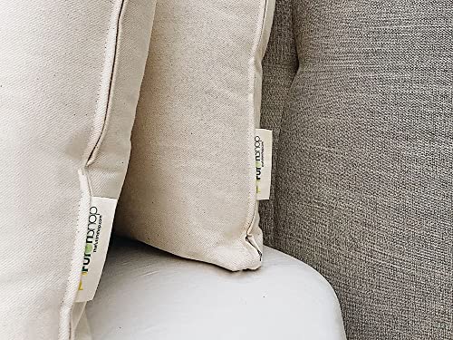 Set 2 Almohadas de Lana Orgánica Tamaño Estándar