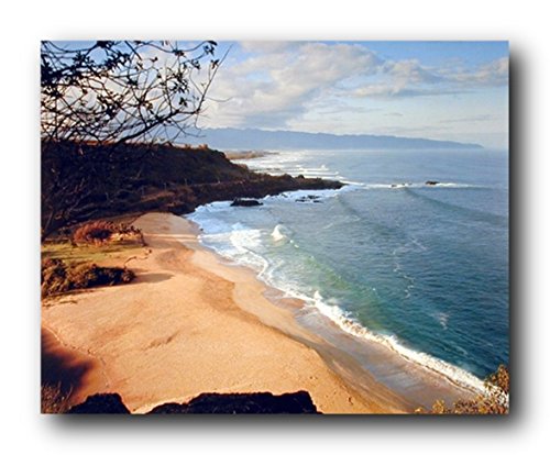 Impact Posters Gallery Ocean Beach Sunset Scenery Nature Wall Decor Art Print Poster (16x20)