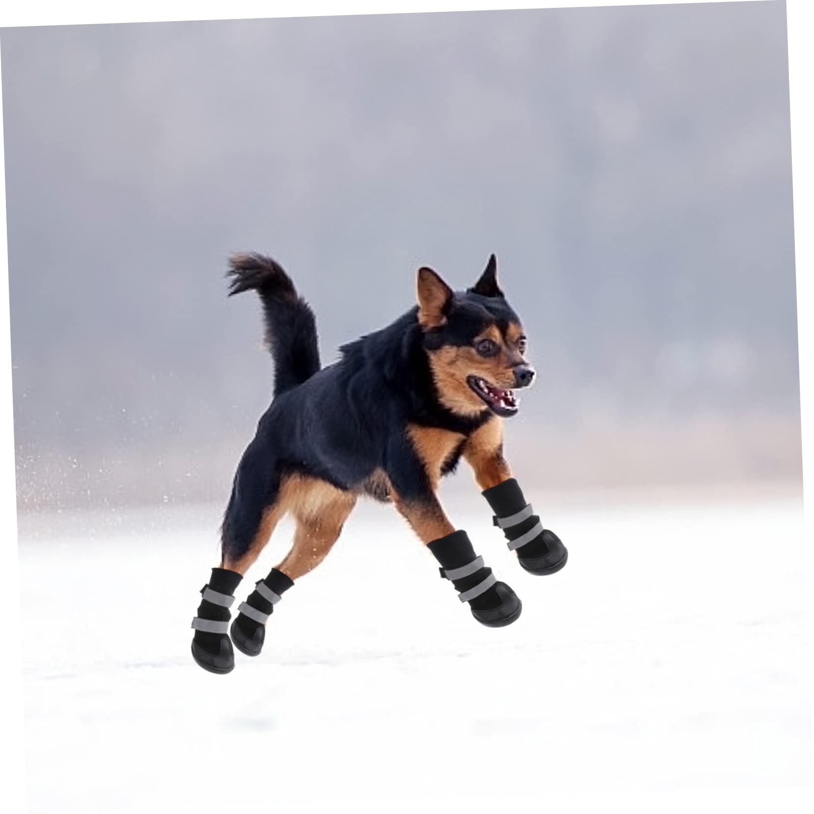 BESPORTBLE 12 Pièces Chaussures d'hiver pour Chaussures Chihuahua pour Chiens Bottes Petit Bottes d'hiver pour Bottes Chaudes pour Chaussures pour Chiens de Compagnie