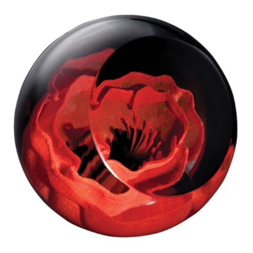 Caithness Glass Remembrance Poppy Paperweight | Red | 64mm X 64mm | Handmade In Scotland | A Handmade Glass Poppy Floats Within This Faceted - View #6