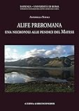  Alife preromana. Una necropoli alle pendici del Matese