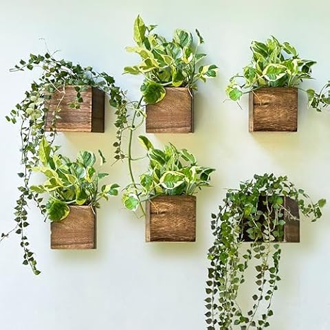 LaLaGreen 6-Pack Wood Planters Cover