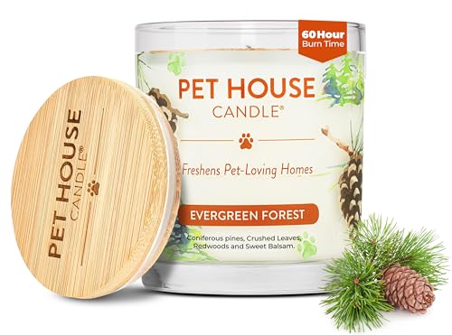 Pet House Pet Odor Candle Plant Based Scented Candle Clean Burning, Long Lasting for Home, Evergreen Forest