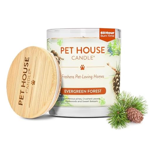 One Fur All, Pet House Candle - 100% Soy Wax Candle - Pet Odor Eliminator for Home - Non-Toxic and Eco-Friendly Air Freshening Scented Candles (Pack of 1, Evergreen Forest)