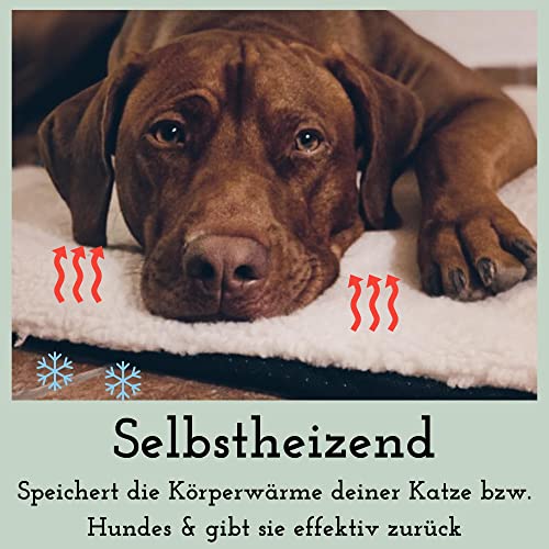 Fellou Heizdecke Katze 90 x 64 cm - Selbstheizende Decke Katze - Waschbar, Knisterfrei & rutschfest - Wärmedecke Hund - Heizmatte Haustier - Kuschelig weiche Wärmematte ohne Strom in beige