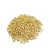 ChooseU 1000 pcs small nickel plated safety pins 4/5'' length (19mm) wholesales for garment hang tag DIY Safety Pins Brooch Jewelry Accessory Colors jewelry accessories (Gold)