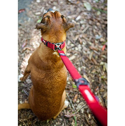 ezydog zero shock dog lead