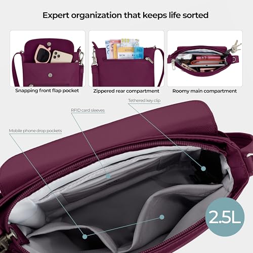 Image of Travelon Anti-Theft Classic Mini Shoulder Bag