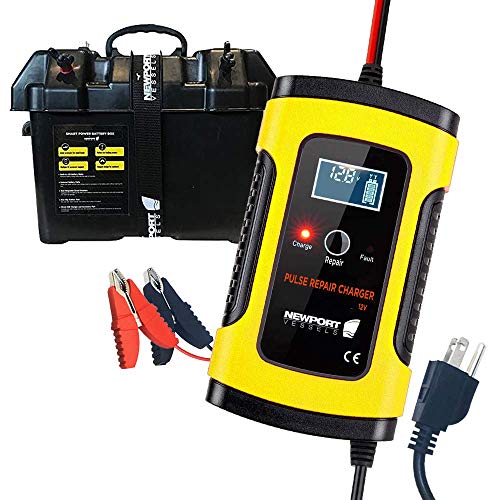 Newport 12V Smart Battery Kit with Smart Battery Box and 12V Smart Pulse Repair Charger