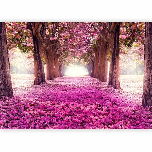Fotomurales Decorativos Pared Xxl Marca murando
