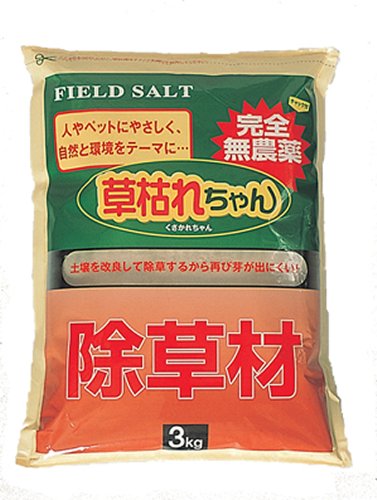 y͂ꂿ RzS_   މ| |pi G΍  |y | G K[fjO | G