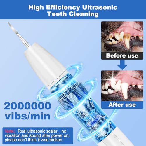 Image of Rarepet Dog Teeth Cleaning Kit with Light, USB Rechargeable Dogs Tooth Brushing Kit, 3 Modes Doggie Toothbrush, Dog Plaque and Tartar Remover for Teeth, Low Noise Dog Teeth Cleaner, Pure White