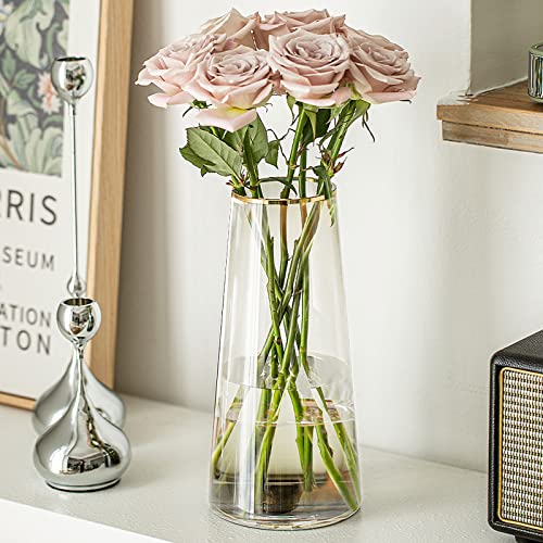 Adafsta Premium Quality Large Vase 22 Cm - Exquisite Clear Flower Vase - Glass Vase For Home Decor - Vases For Flowers For Room Decor, Clear Glass Vase With Ceramic Non-Slip Pad, Tall Vase #TOP5