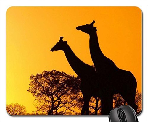 Preisvergleich Produktbild Ein palmer beauty in africa mauspad