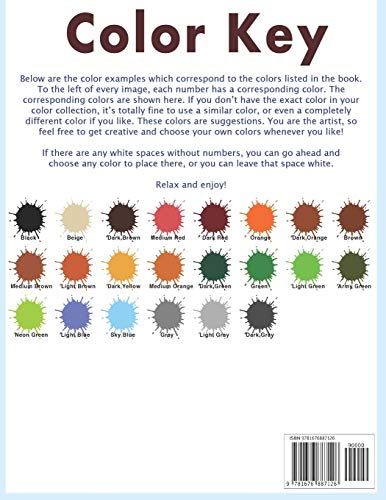 image for Independently Published Giraffe Large Print Mosaic Color By Number: Co