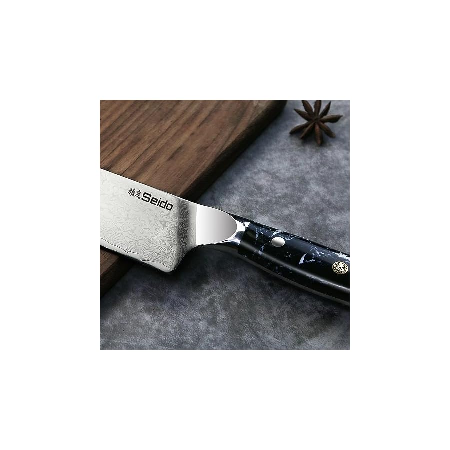Seido Knives Takoizu 8" Gyuto Chef Knife - Black Damascus Steel with VG-10 Super Steel Blade and Strong Turquoise Black Handle