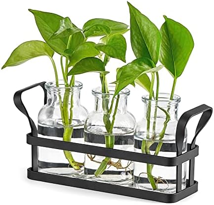 Mkono Propagation Stations with Metal Stand, Desktop Plant Terrarium Glass Planter Vase for Hydroponic Plants Flower Cutting Home Office Garden Decor Plant Lover Gifts, 3 Jars