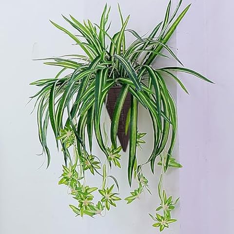 WEISPARK Artificial Hanging Plants with Basket, Fake Orchid Grass Hanging Vines Leaves in Pots, Faux Draping Planter Greenery for Wall Home Room Office Patio Decorations ﻿ Cover