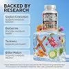 Cápsulas de Canela de Ceilán Clean Nutraceuticals + Berberina, Cúrcuma, Vinagre de Manzana, Ginseng, Melón Amargo (Karela), Gymnema, Cardo Mariano, Fenogreco, Suplemento en Polvo para Hombres y Mujeres, 60 Cápsulas (Paquete de 1) 6