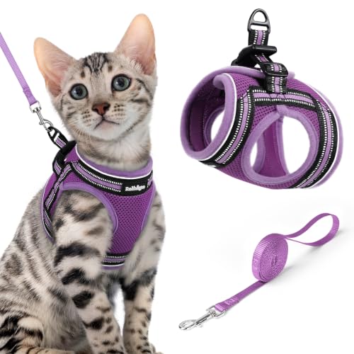 Image of rabbitgoo Cat Harness and Leash Set, Step-in Soft Vest, Purple-Light Purple