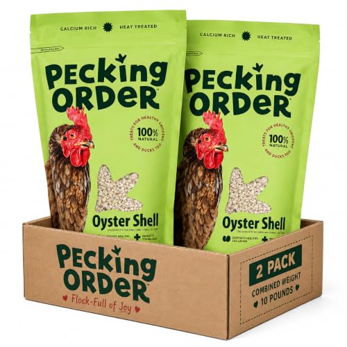 Oyster Shell Calcium Supplement