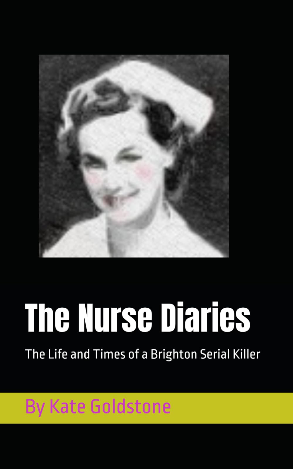 The Nurse Diaries: The Life and Times of a Brighton Serial Killer