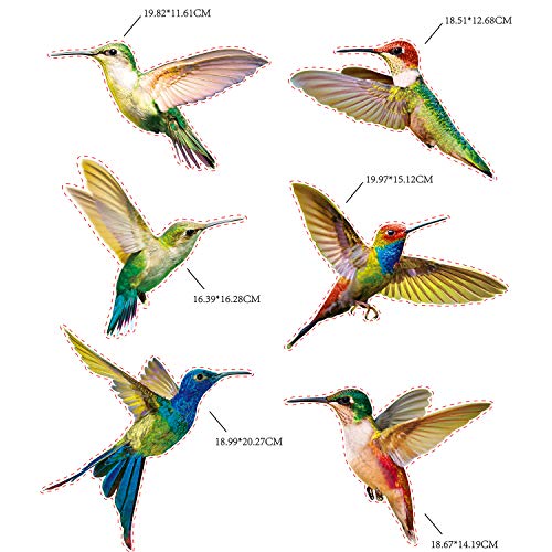 Blulu 6 Pieces Large Size Hummingbird Window Clings Anti-Collision Window Clings Decals To Prevent Bird Strikes On Window Glass Non Adhesive Vinyl Cling Hummingbird Stickers thumb #1