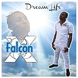 falcon x tesla car  Dream Life