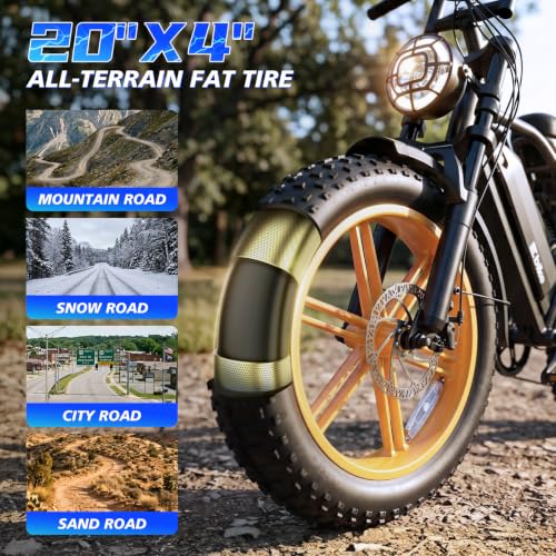 Image of TST Electric Bike for Urban Cycling, 48V 15Ah Battery, 20 inchx4 inch Fat Tire