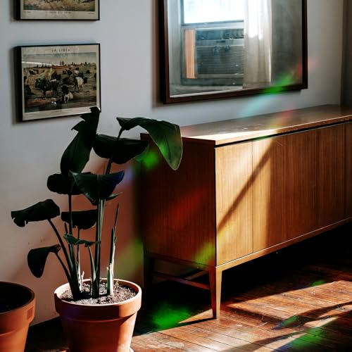 39 Stück Prism-Fenster-Abziehbilder PVC Anti-Kollisions-Aufkleber Vogelschutz Regenbogen Fensterfolie Kreisförmig Sonnenfänger Sticker Dekoration für Stoppt Vögel Türfenster Esszimmer Schlafzimmer