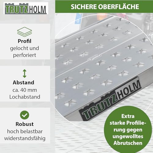 TRUTZHOLM 2 x Auffahrrampen 200 x 28 cm 540 kg als Paar 270 kg Stück Alu gelocht starr grau Verladerampen Motorradrampen